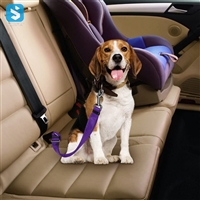 Car seat belts for pets